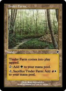 Tinder Farm