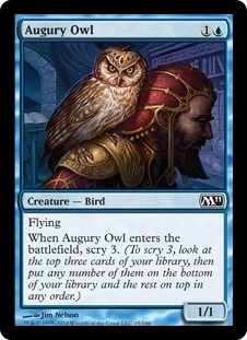 Augury Owl