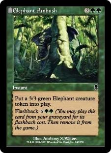 Elephant Ambush